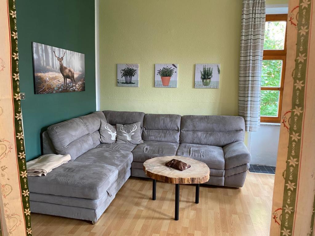 Ferienappartment Zum Gruenen Hirsch باد اسشي المظهر الخارجي الصورة